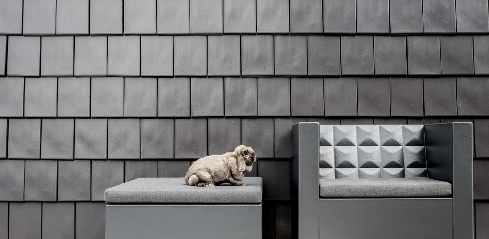 FIRM Chair FIRM Chair | WHITE