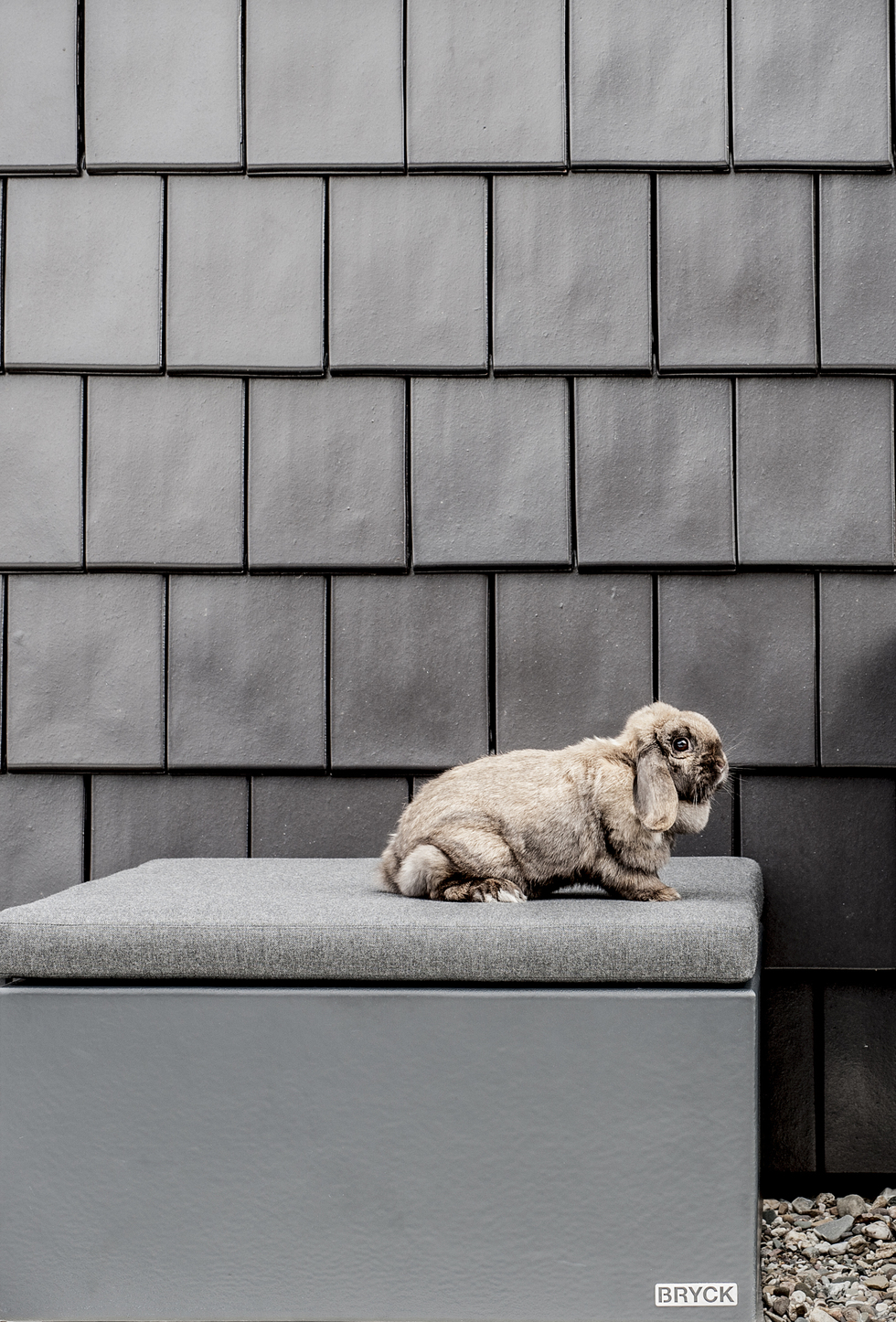 FIRM Chair FIRM Chair | WHITE