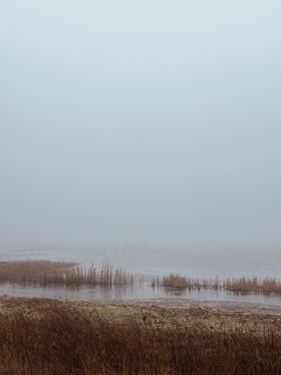 Natuur als inspiratiebron